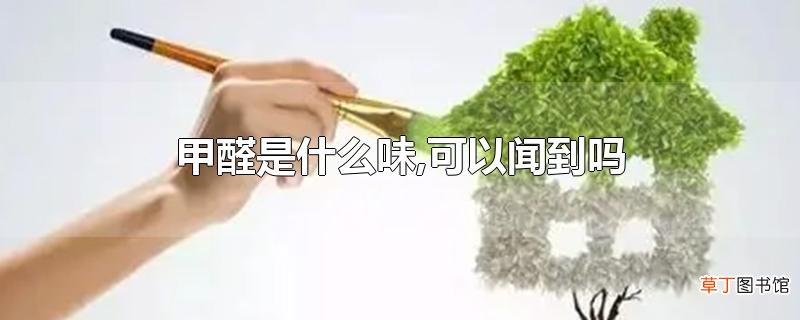甲醛是什么味？可以闻到吗？