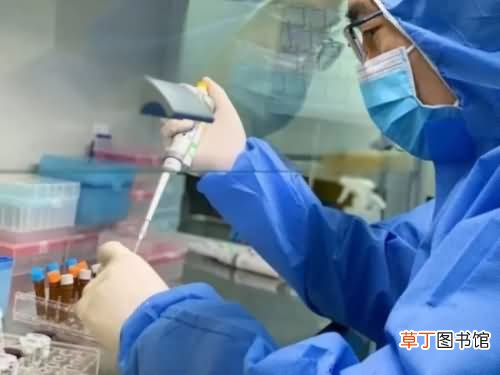 新冠病毒阴性和阳性的区别是什么？