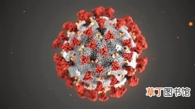 新冠病毒阴性和阳性的区别是什么？