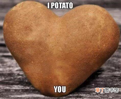 I potato you什么梗?我土豆你？