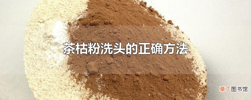 茶枯粉洗头的正确方法