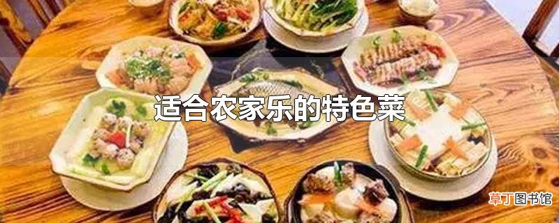 适合农家乐的特色菜