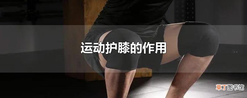 运动护膝的作用