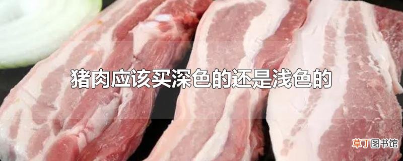 猪肉应该买深色的还是浅色的
