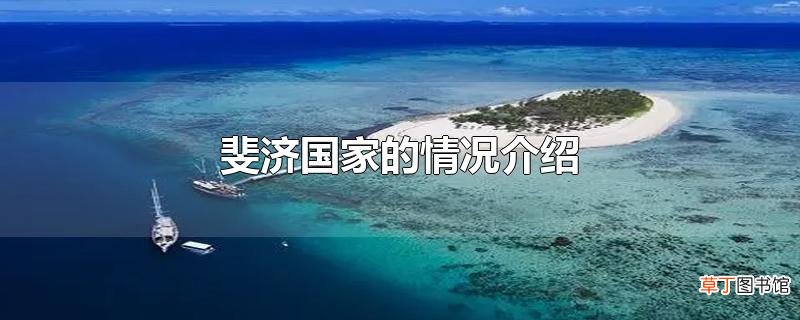 斐济国家的情况介绍