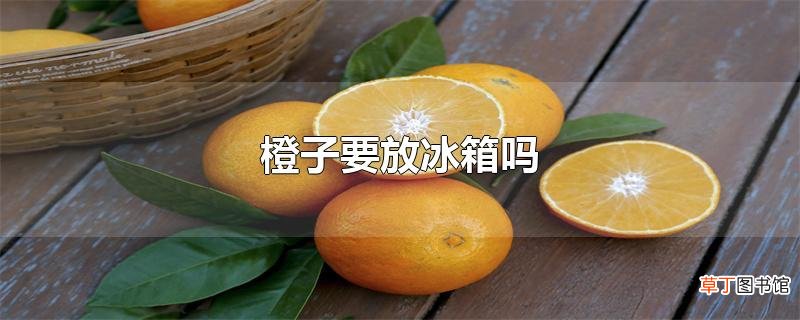 橙子要放冰箱吗