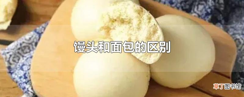 馒头和面包的区别