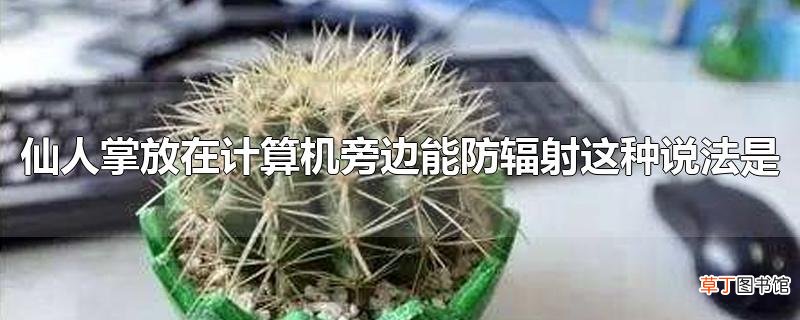 仙人掌放在计算机旁边能防辐射这种说法是