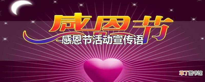 感恩节活动宣传语