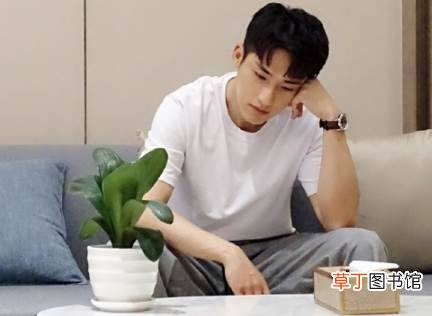 陌生的恋人宇航医生结局是什么?宇航医生和女主的关系是什么