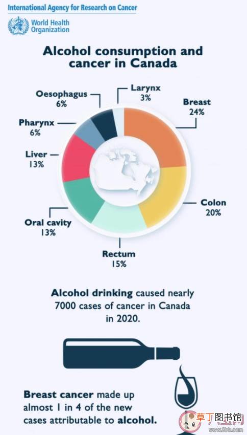 酒精是如何摧毁健康的 研究称喝酒增高患癌风险
