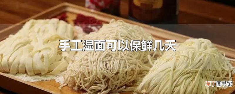 手工湿面可以保鲜几天