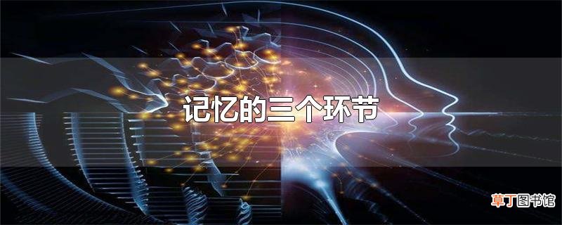 记忆的三个环节