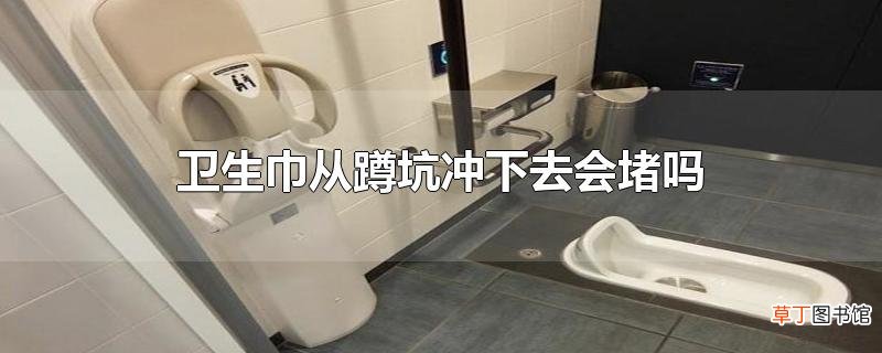 卫生巾从蹲坑冲下去会堵吗