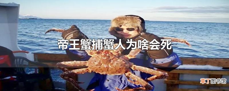 帝王蟹捕蟹人为啥会死