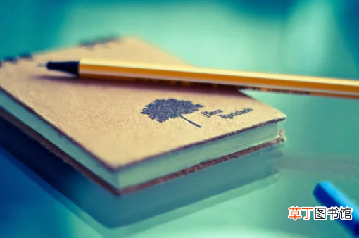 高老头读后感,“高老头”读后感600字