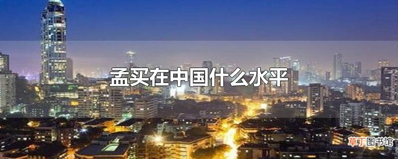孟买在中国什么水平