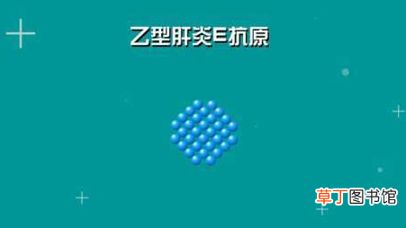 乙肝传染的途径-乙肝怎么传染