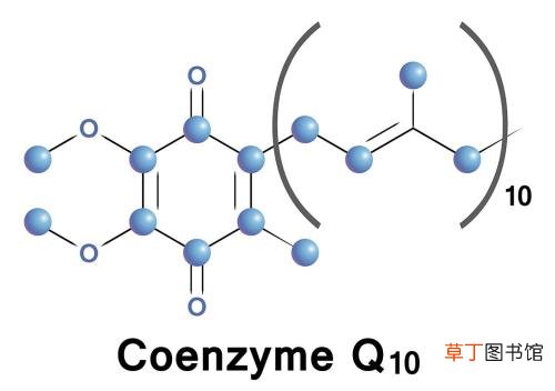辅酶Q10的功效与作用-辅酶Q10的主要功效