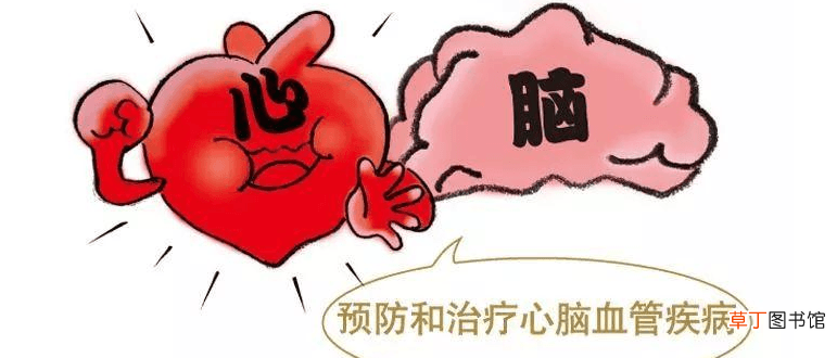 同型半胱氨酸偏高是怎么回事-同型半胱氨酸偏高什么原因