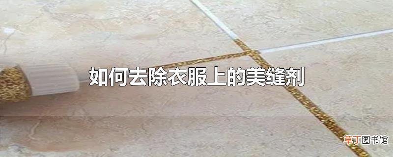 怎么去除衣服上的美缝剂