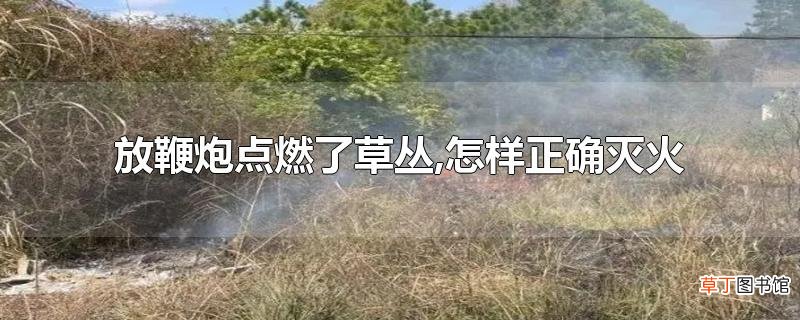 放鞭炮点燃了草丛,怎样正确灭火