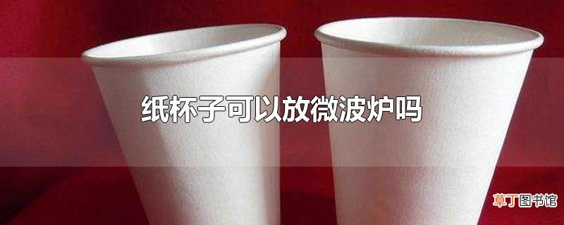 纸杯子可以放微波炉吗