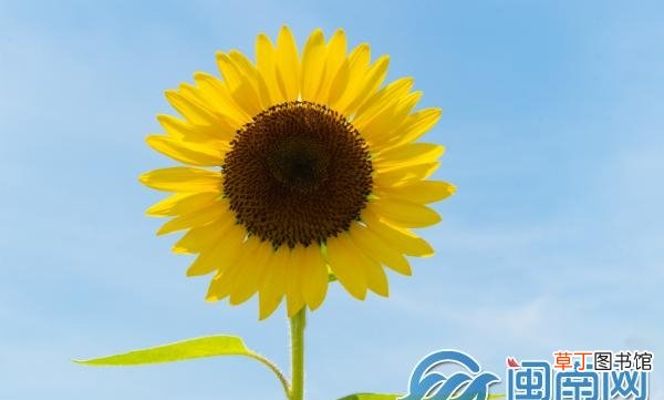 祝教师节快乐的话语 家长给幼儿园老师教师节祝福语