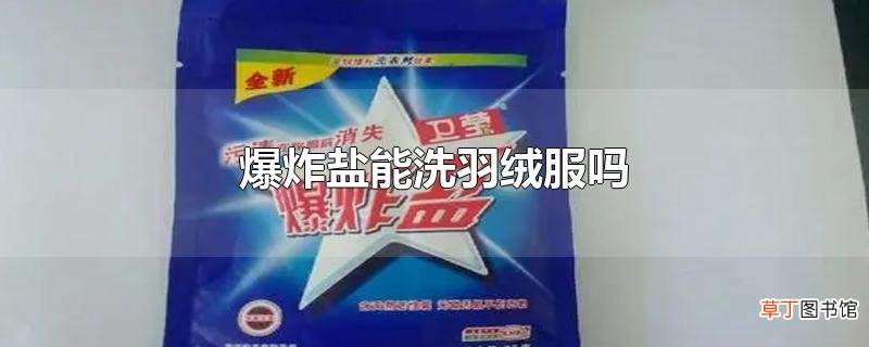 爆炸盐能洗羽绒服吗