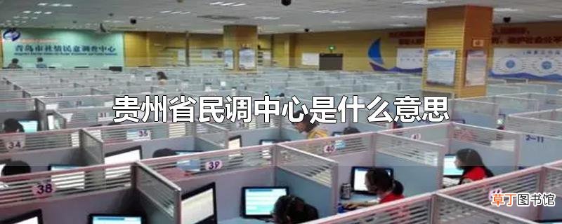 贵州省民调中心是什么意思