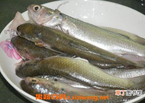 马友鱼的功效与作用
