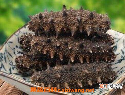 干海参怎么保存 干海参怎么泡发