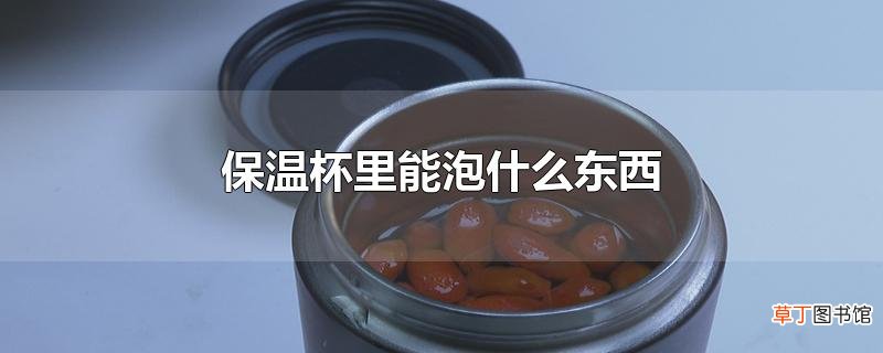 保温杯里能泡什么东西