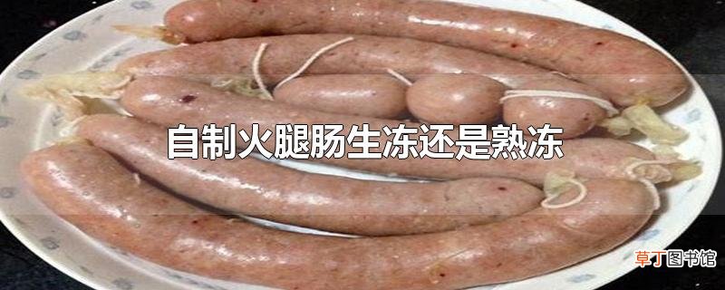 自制火腿肠生冻还是熟冻