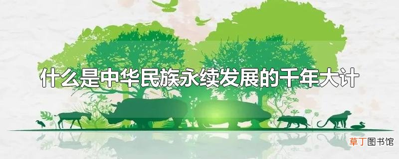 什么是中华民族永续发展的千年大计