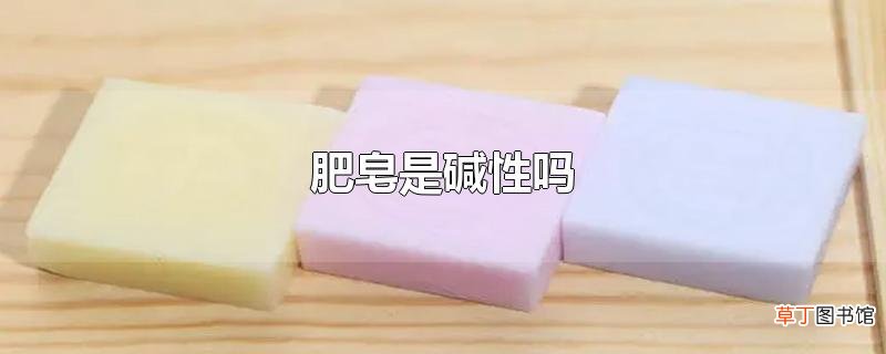 肥皂是碱性吗