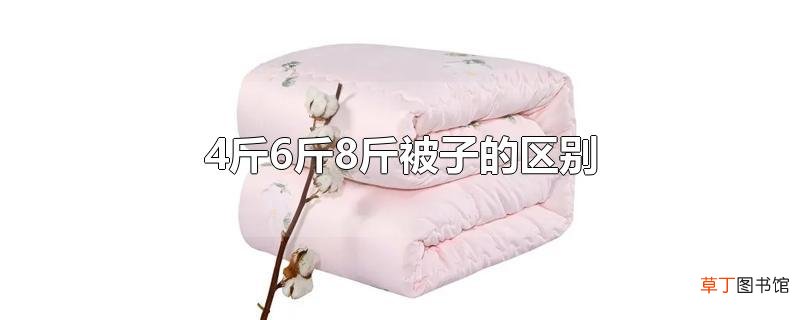 4斤6斤8斤被子的区别