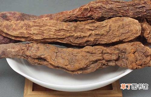 肉苁蓉的危害都有哪些-肉苁蓉有什么副作用
