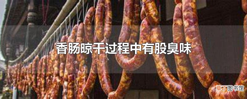 香肠晾干过程中有股臭味
