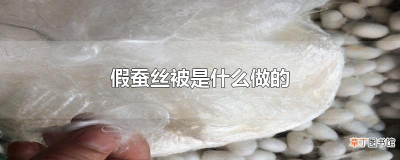 假蚕丝被是什么做的