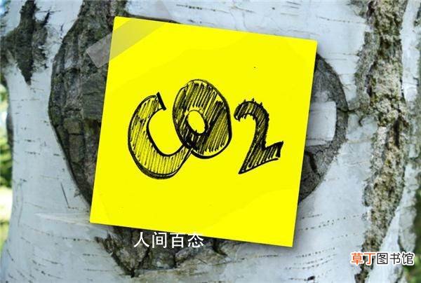什么是碳交易市场 今日开市!碳交易十问
