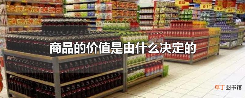商品的价值是由什么决定的