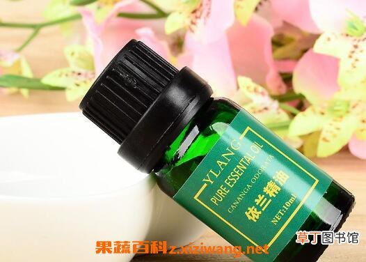 依兰精油的功效与作用 依兰精油的用途有哪些