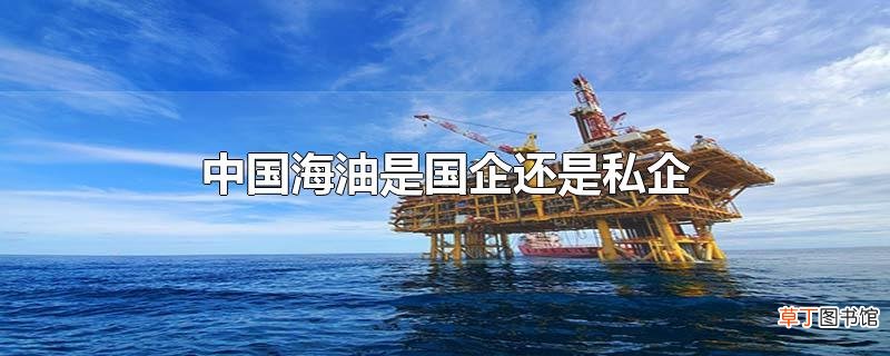 中国海油是国企还是私企