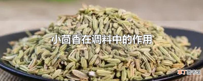 小茴香在调料中的作用