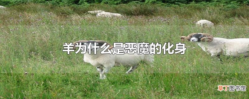 羊为什么是恶魔的化身