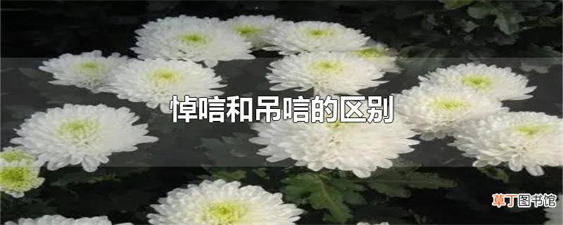 悼唁和吊唁的区别