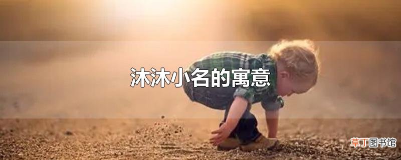 沐沐小名的寓意
