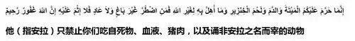 回民不吃猪肉的原因,伊斯兰信徒为何不吃猪肉？