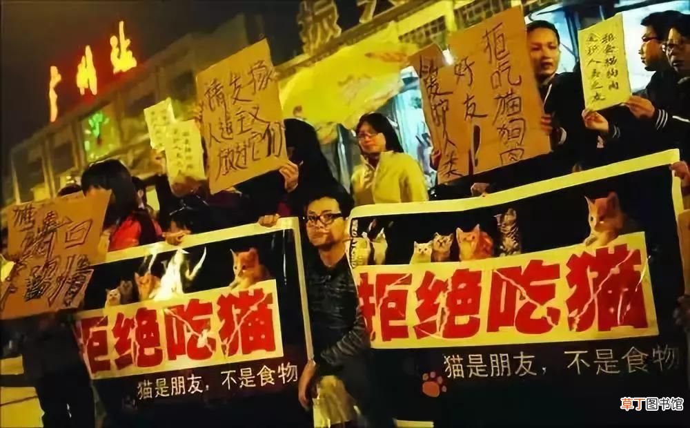回民不吃猪肉的原因,伊斯兰信徒为何不吃猪肉？
